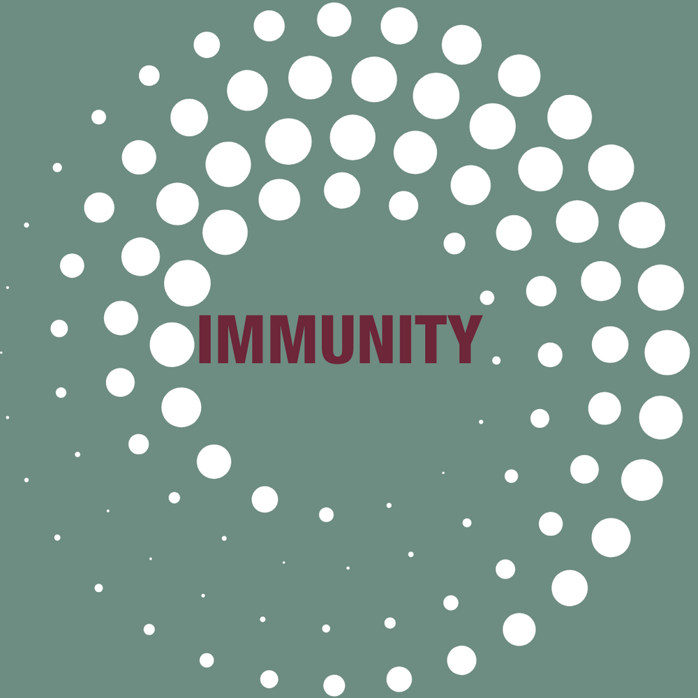Le renforcement de l'immunité : les clés de la santé